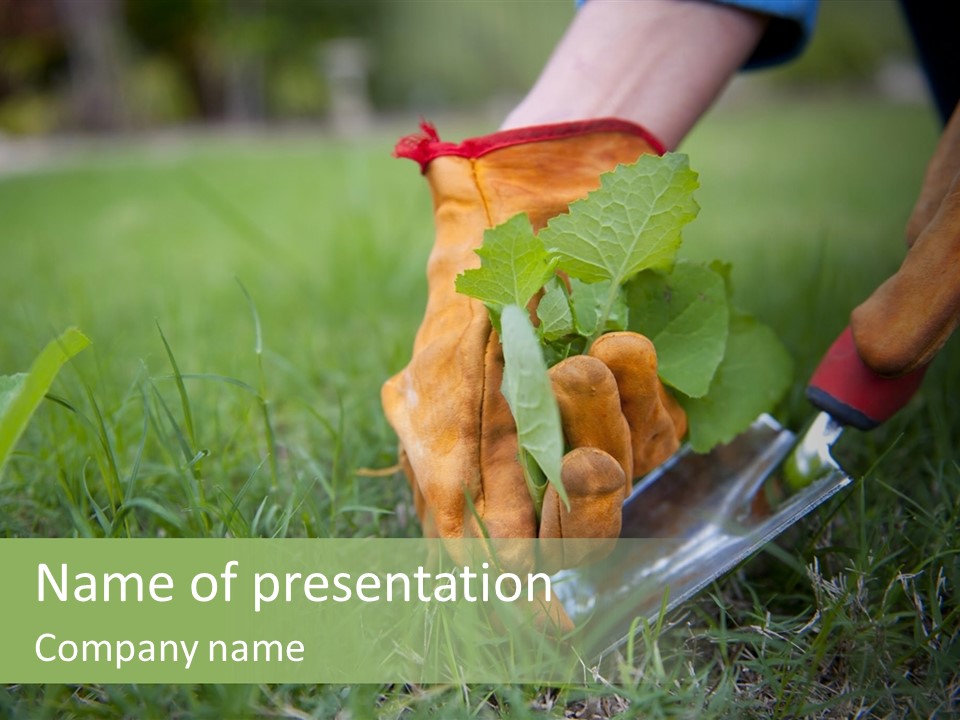 Gardening PowerPoint Template