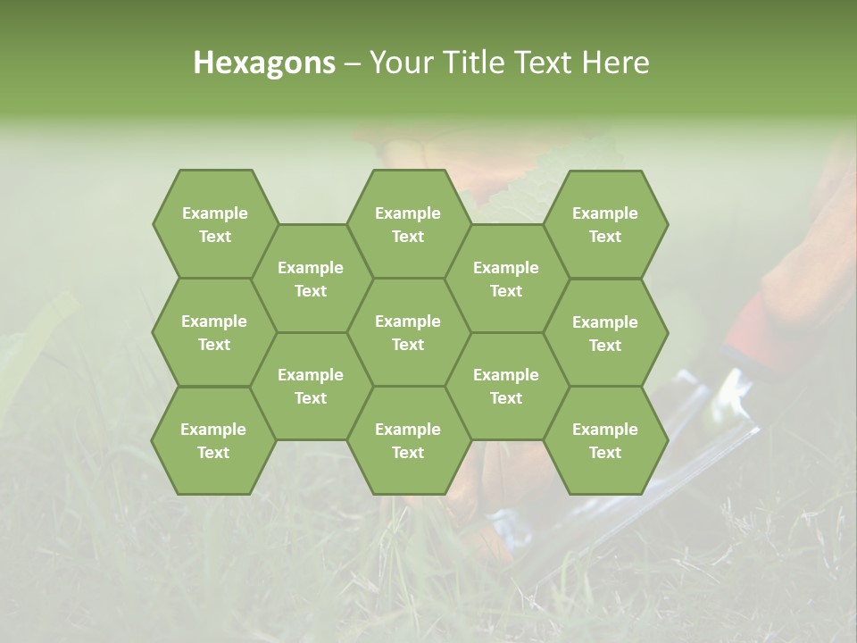 Gardening PowerPoint Template