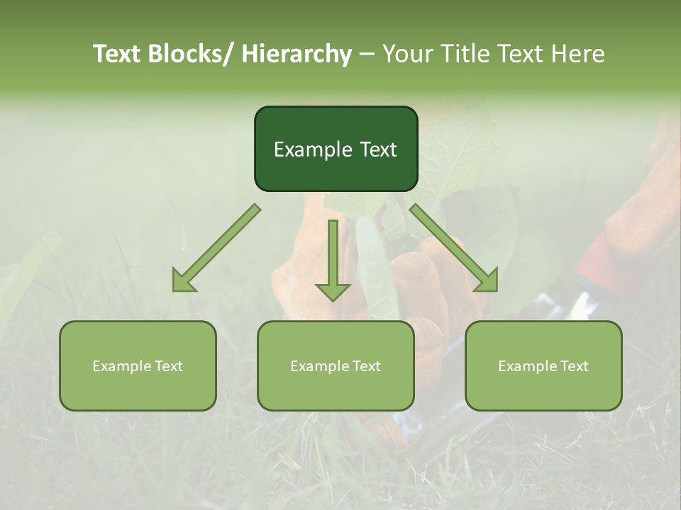 Gardening PowerPoint Template