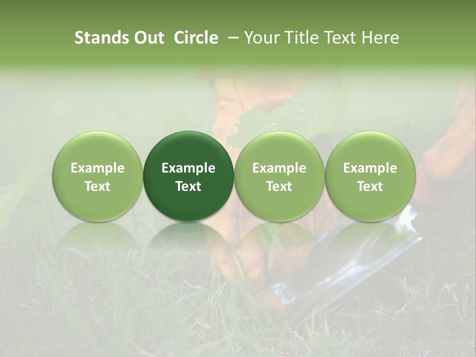Gardening PowerPoint Template