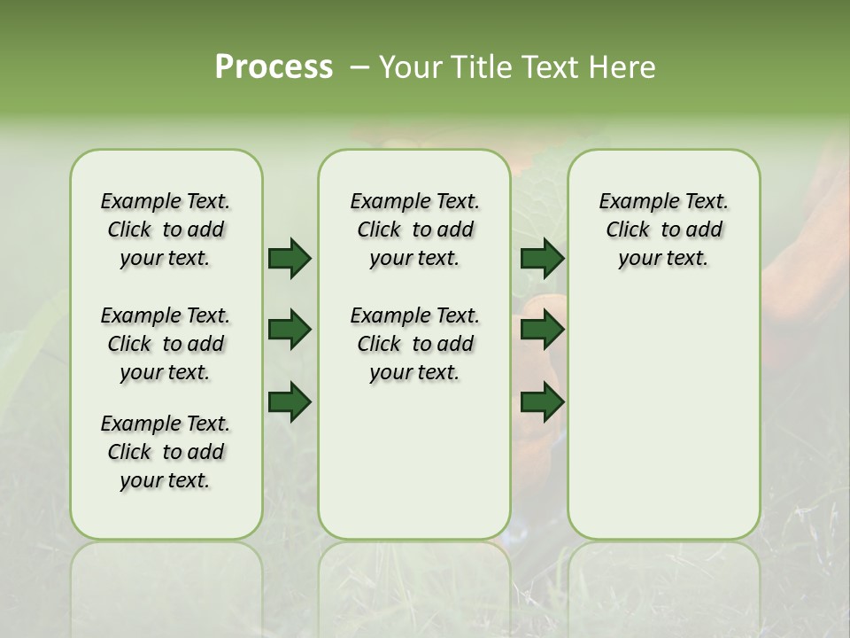 Gardening PowerPoint Template