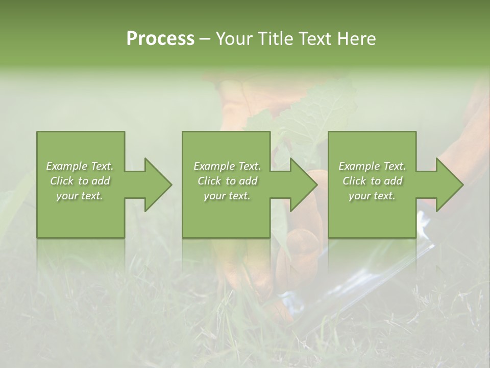 Gardening PowerPoint Template