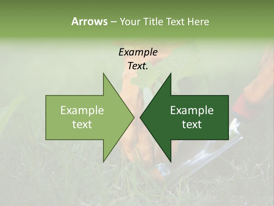 Gardening PowerPoint Template