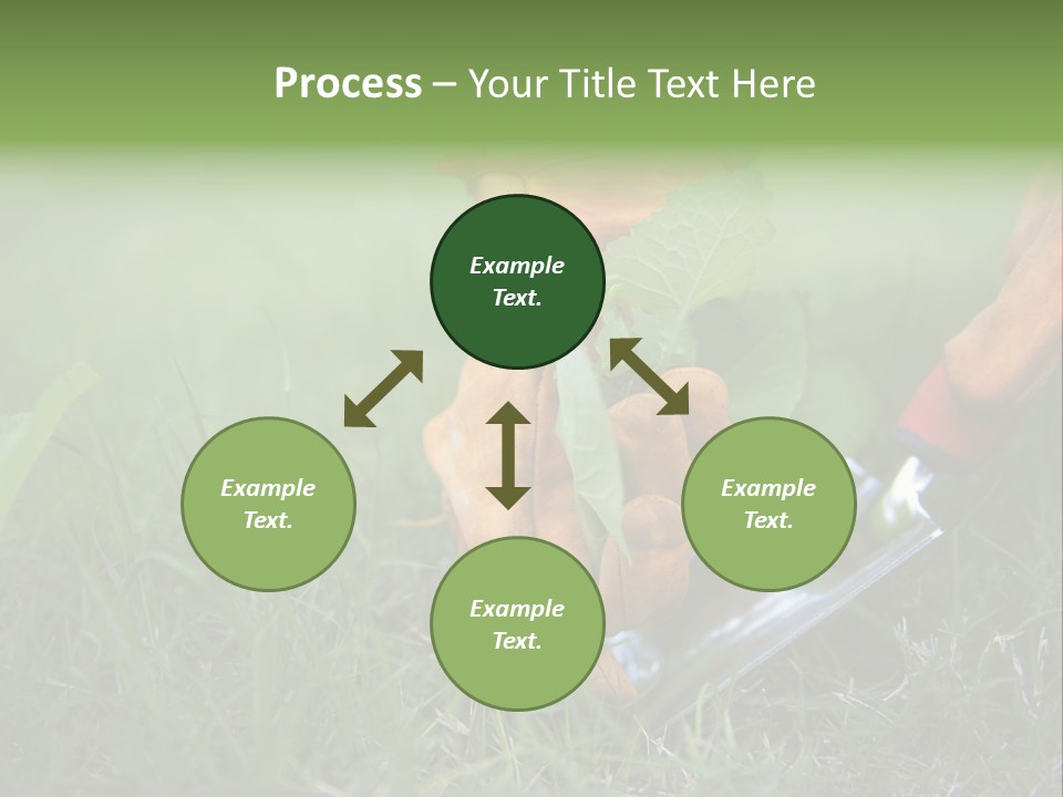 Gardening PowerPoint Template