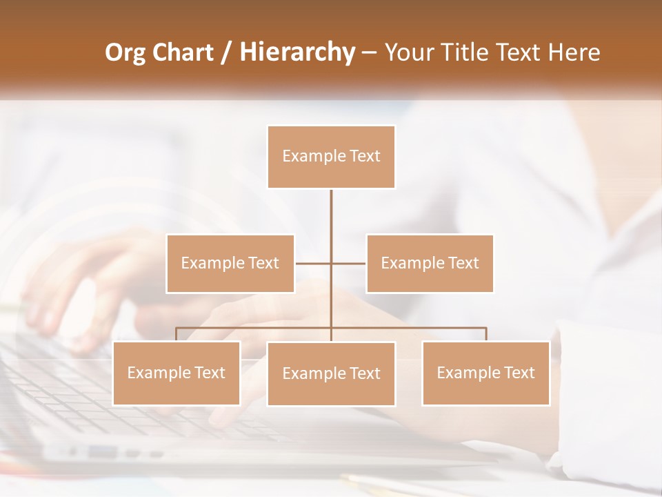 Woman Working At Laptop PowerPoint Template