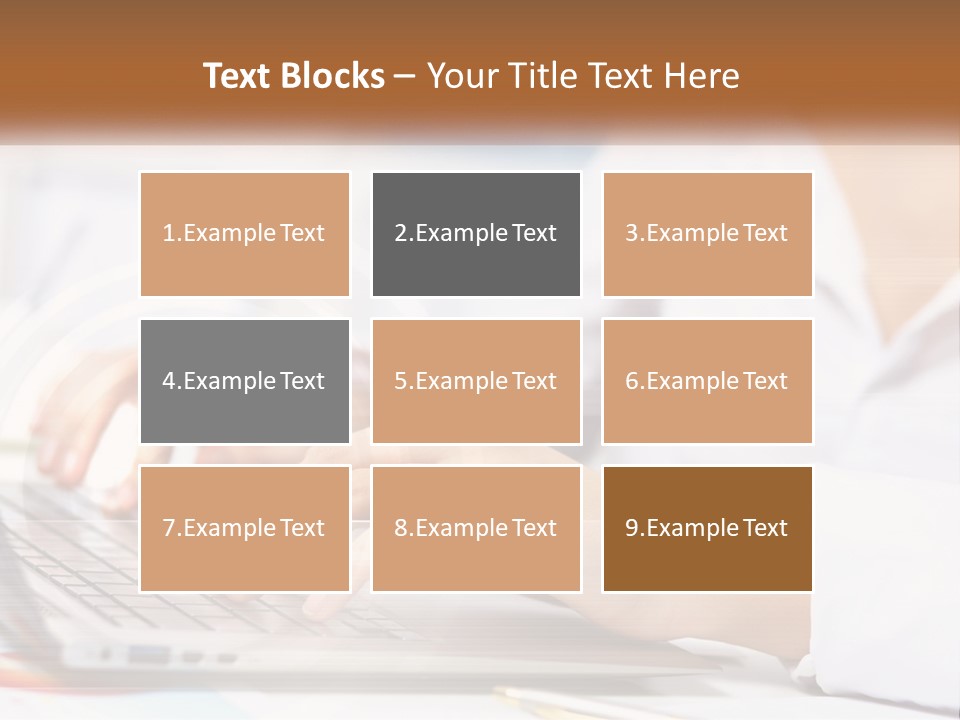 Woman Working At Laptop PowerPoint Template