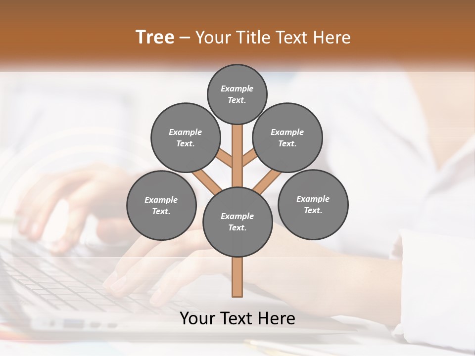 Woman Working At Laptop PowerPoint Template