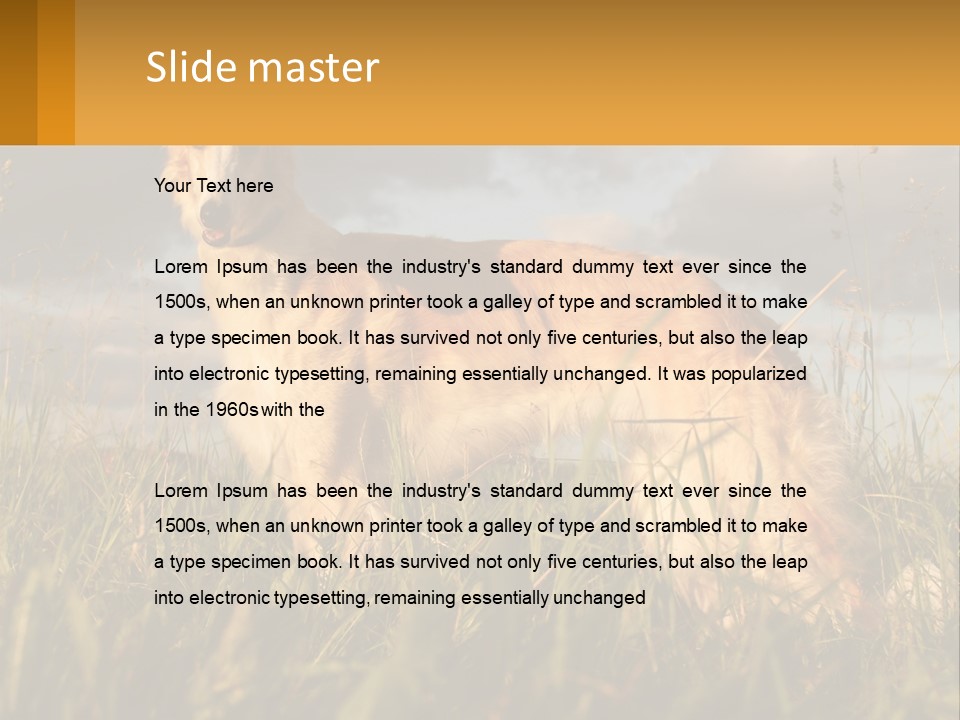 Russian Hunting Greyhound Dog PowerPoint Template