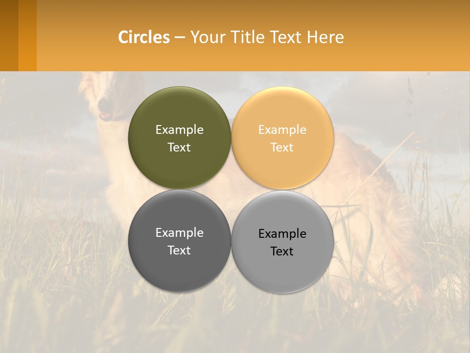 Russian Hunting Greyhound Dog PowerPoint Template