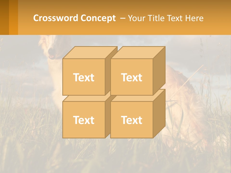 Russian Hunting Greyhound Dog PowerPoint Template