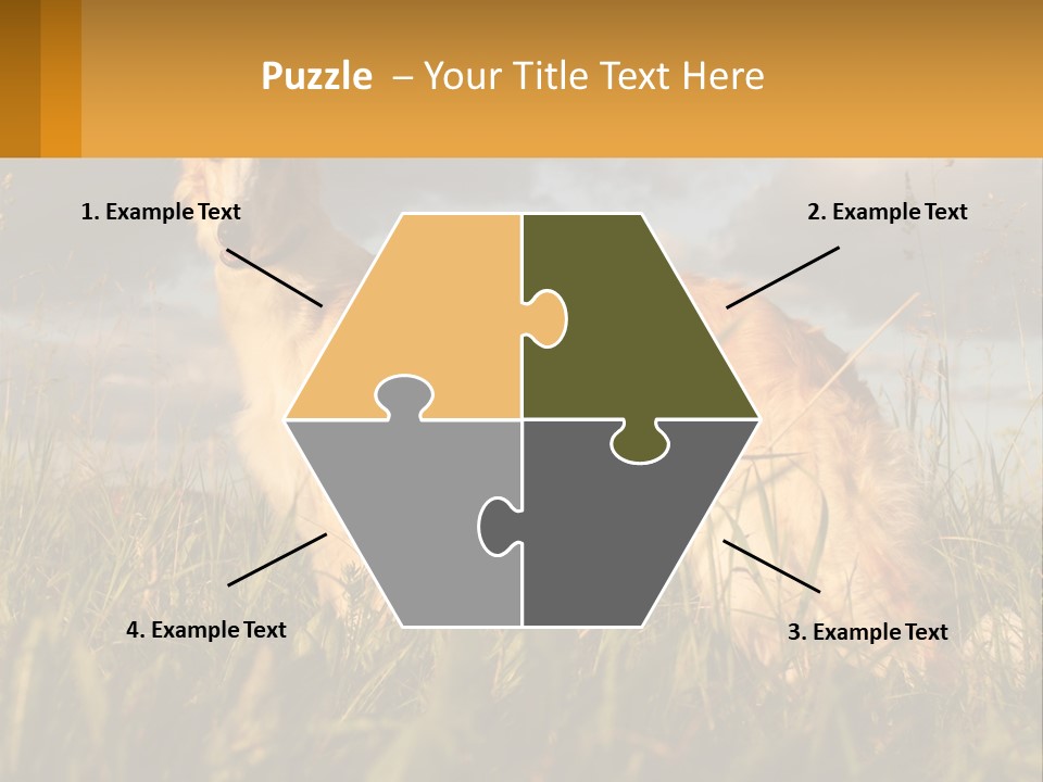 Russian Hunting Greyhound Dog PowerPoint Template