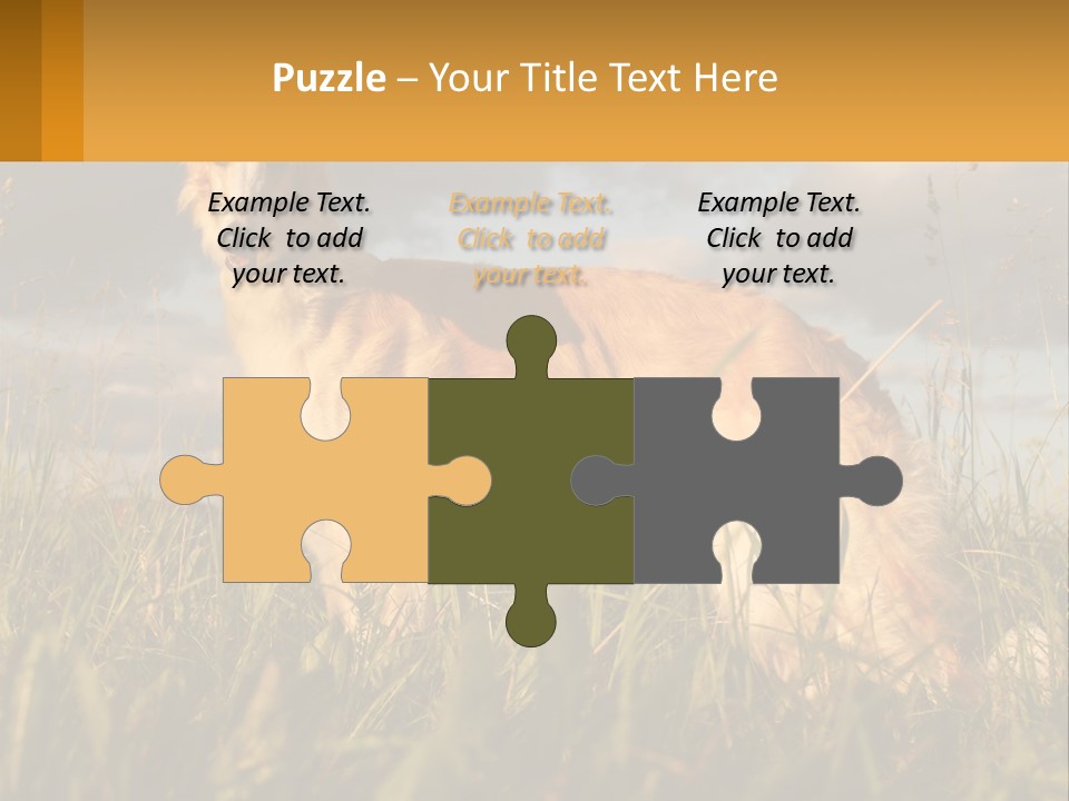 Russian Hunting Greyhound Dog PowerPoint Template