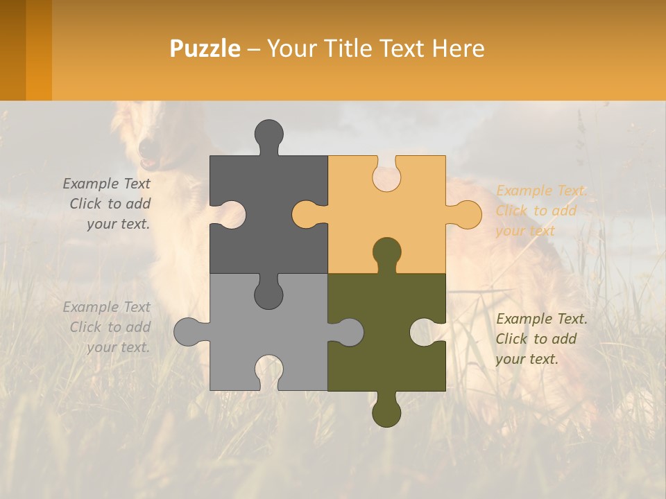 Russian Hunting Greyhound Dog PowerPoint Template