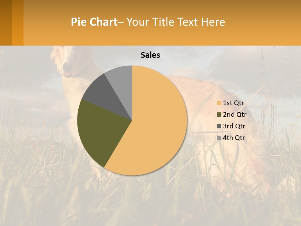 Russian Hunting Greyhound Dog PowerPoint Template
