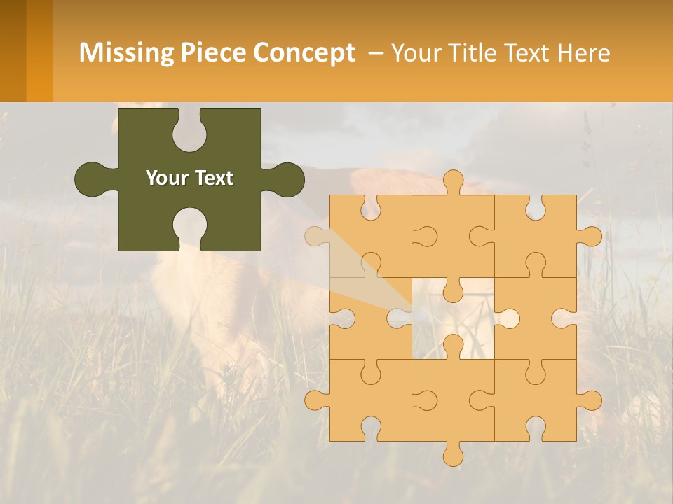 Russian Hunting Greyhound Dog PowerPoint Template