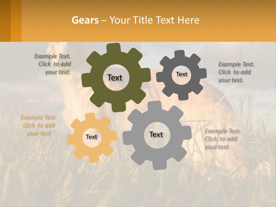 Russian Hunting Greyhound Dog PowerPoint Template