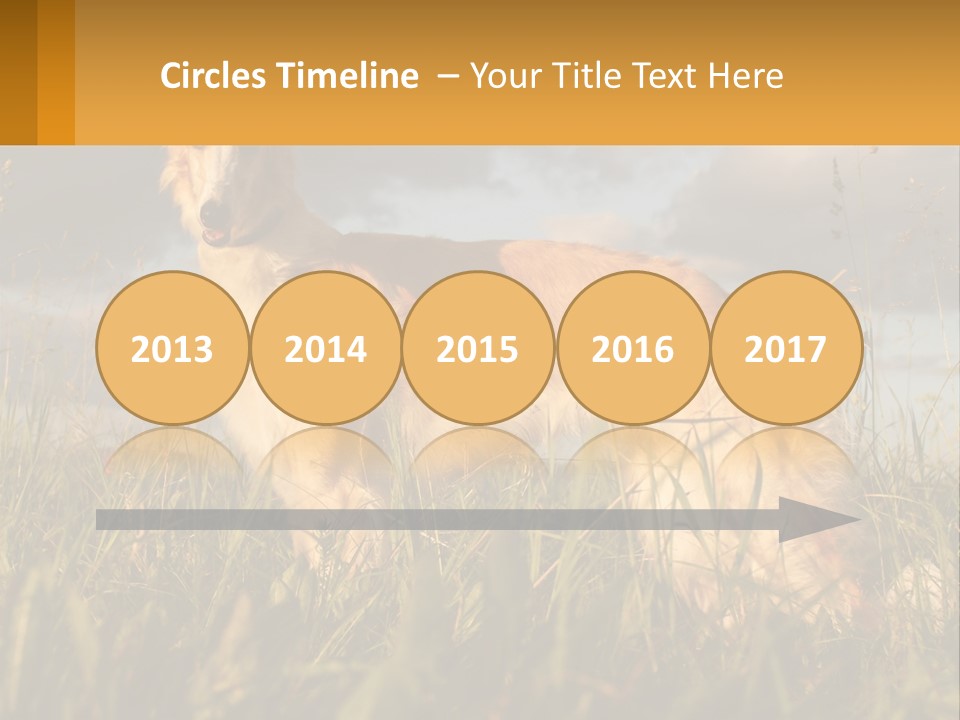 Russian Hunting Greyhound Dog PowerPoint Template