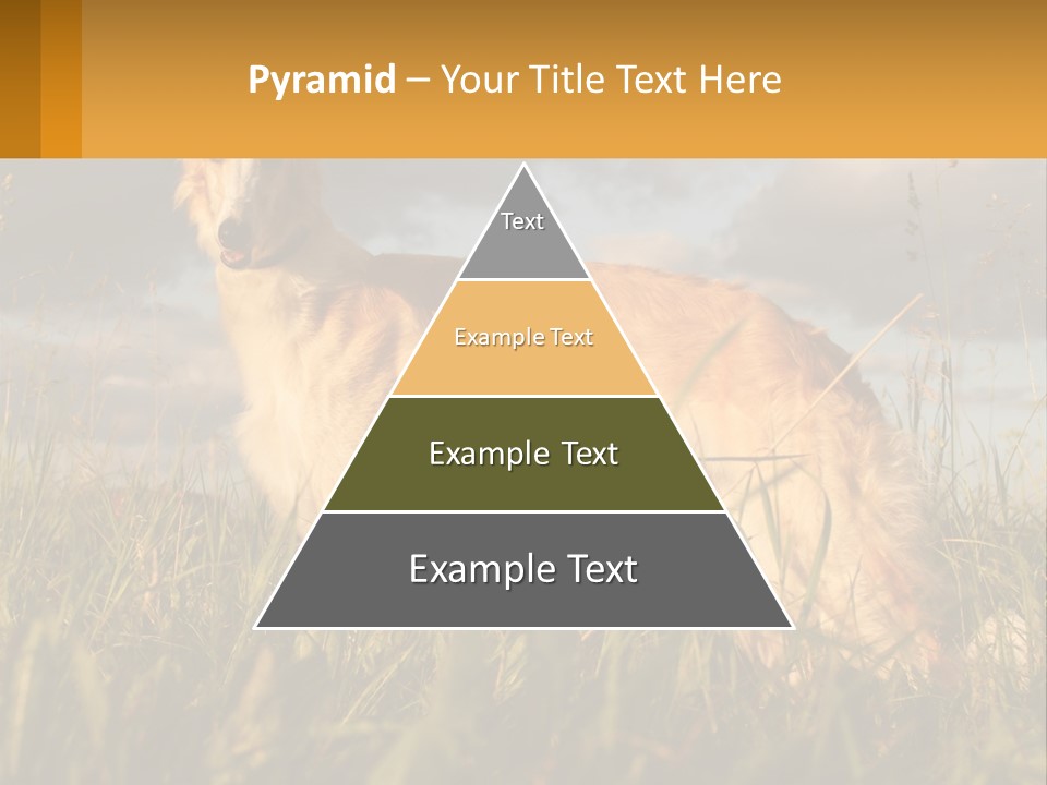 Russian Hunting Greyhound Dog PowerPoint Template