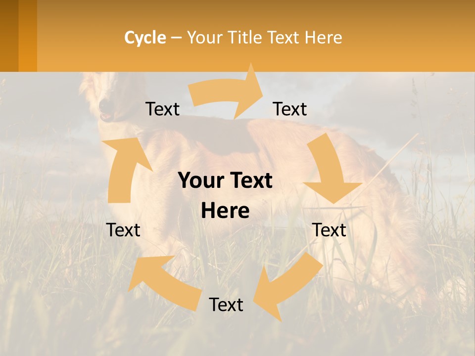 Russian Hunting Greyhound Dog PowerPoint Template