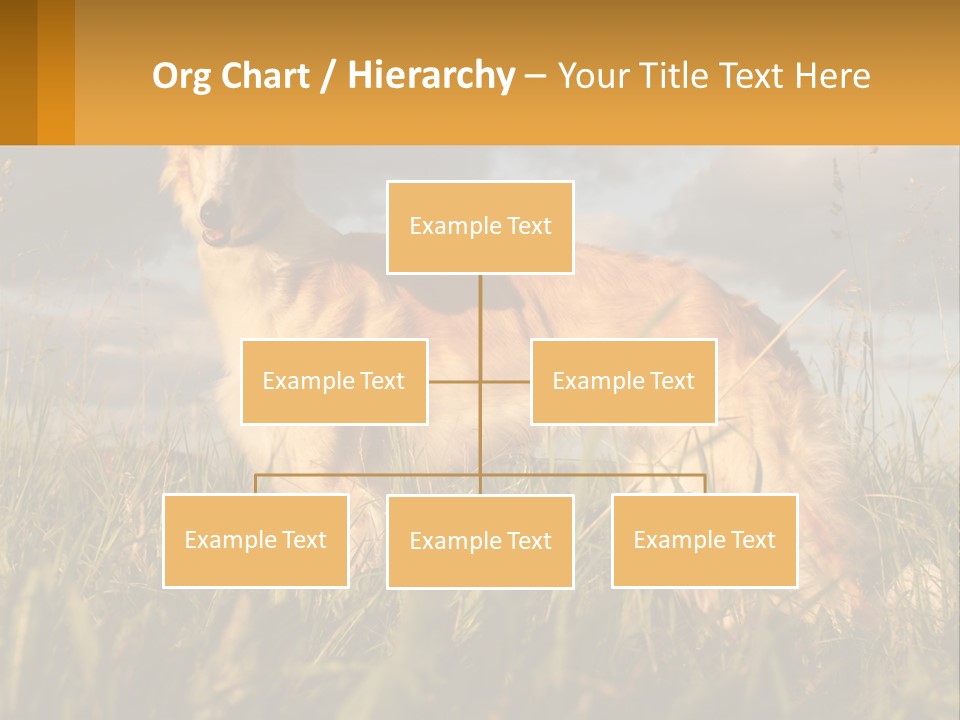 Russian Hunting Greyhound Dog PowerPoint Template