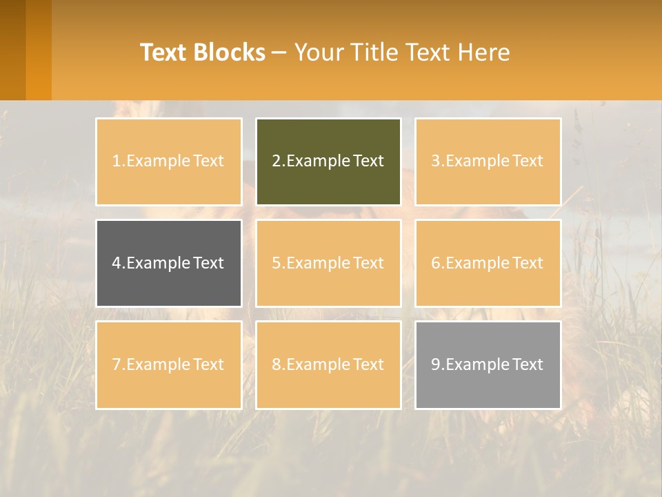 Russian Hunting Greyhound Dog PowerPoint Template