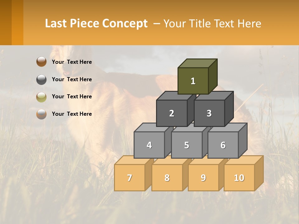 Russian Hunting Greyhound Dog PowerPoint Template