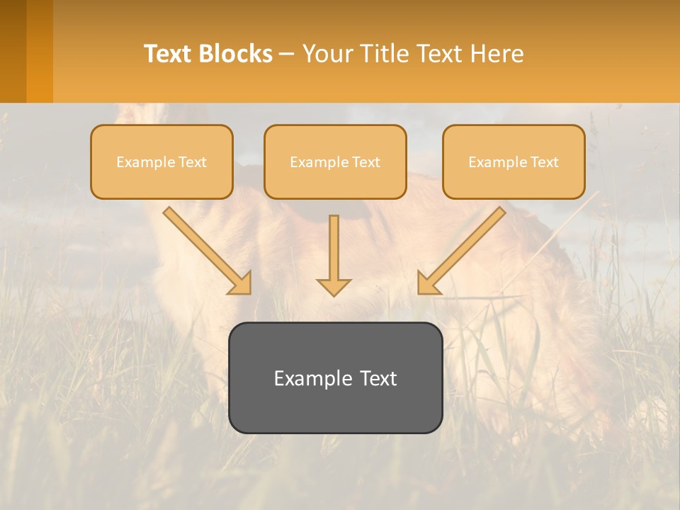Russian Hunting Greyhound Dog PowerPoint Template