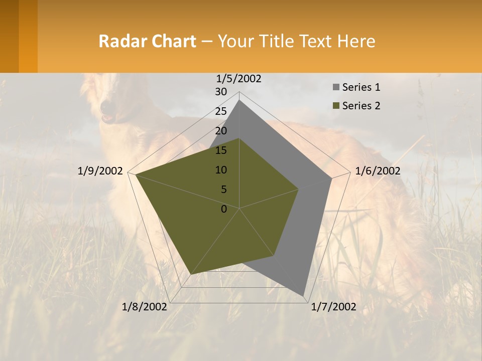 Russian Hunting Greyhound Dog PowerPoint Template