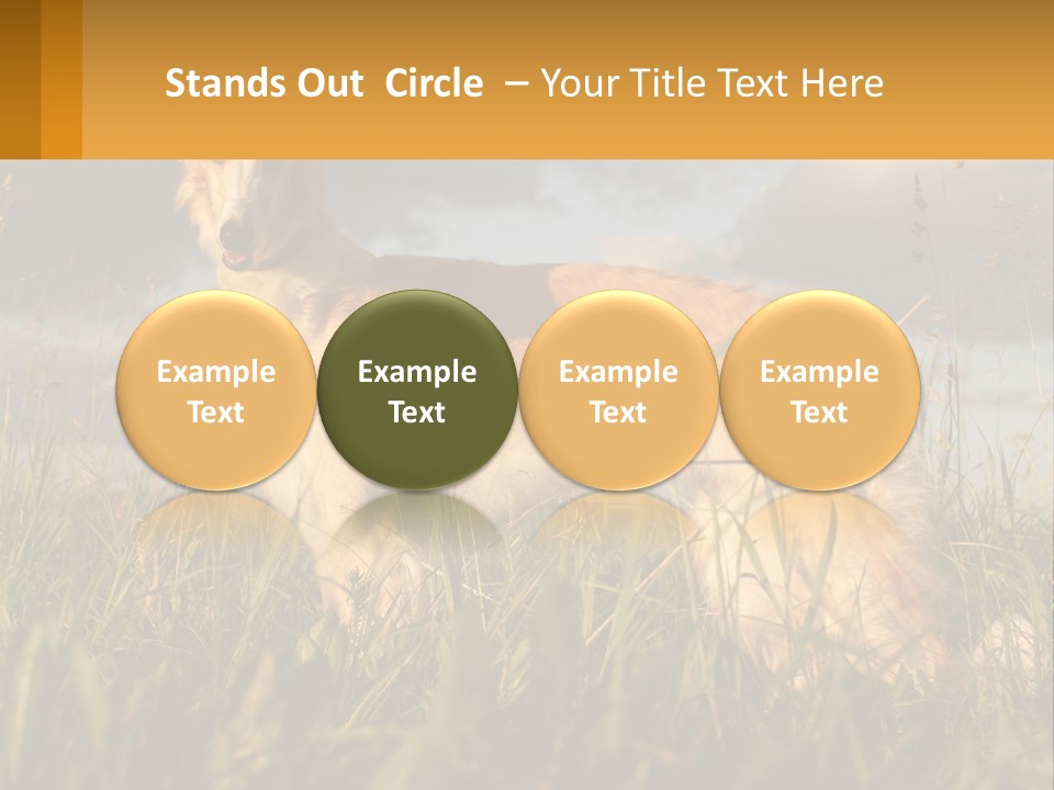 Russian Hunting Greyhound Dog PowerPoint Template