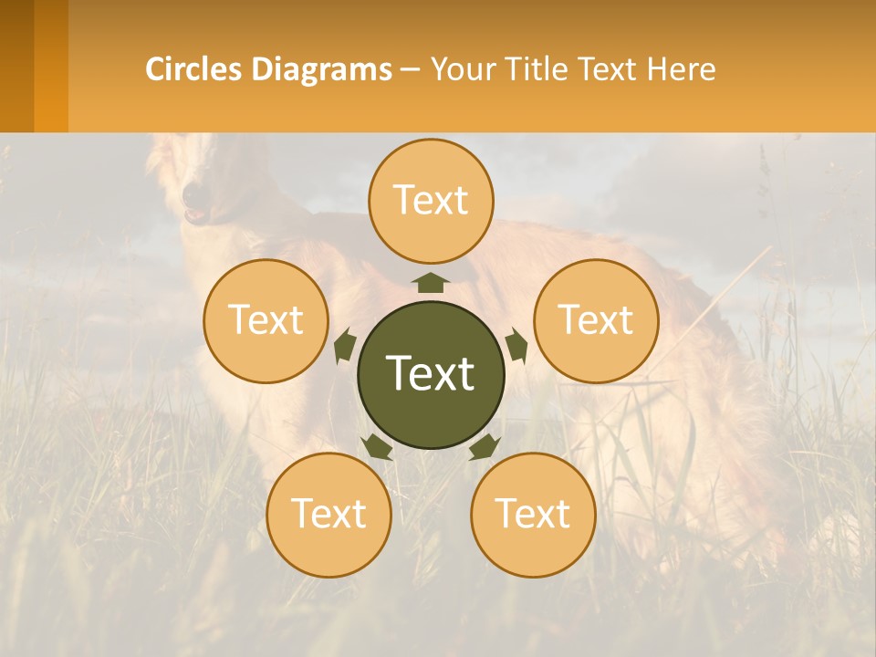 Russian Hunting Greyhound Dog PowerPoint Template