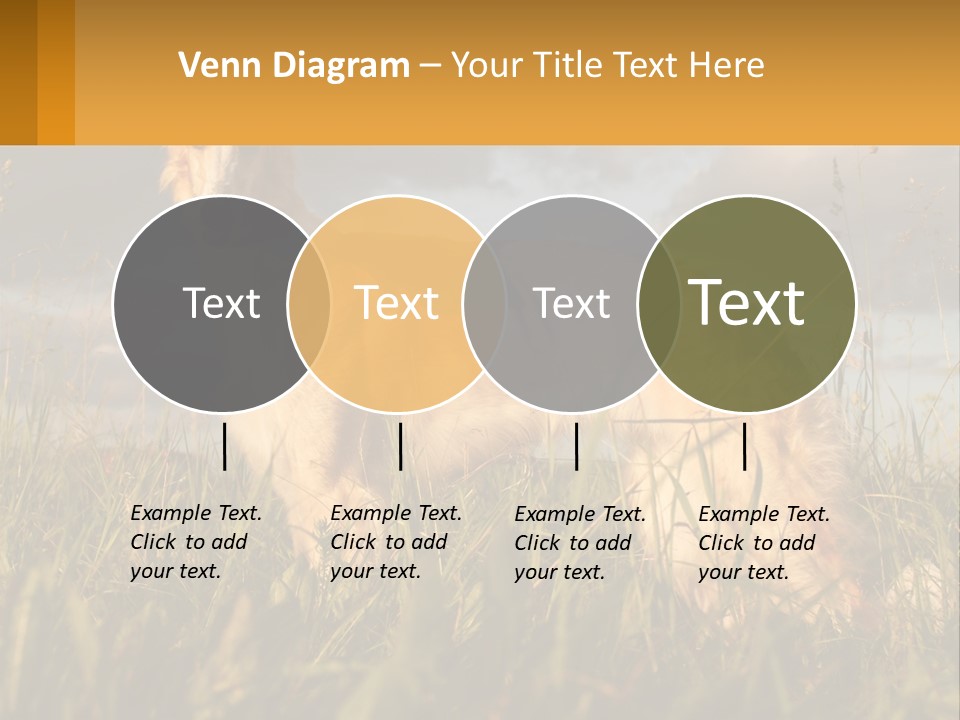 Russian Hunting Greyhound Dog PowerPoint Template