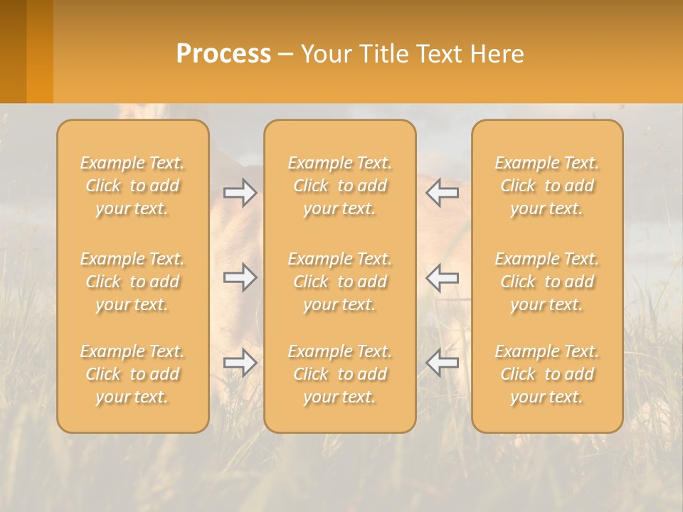 Russian Hunting Greyhound Dog PowerPoint Template
