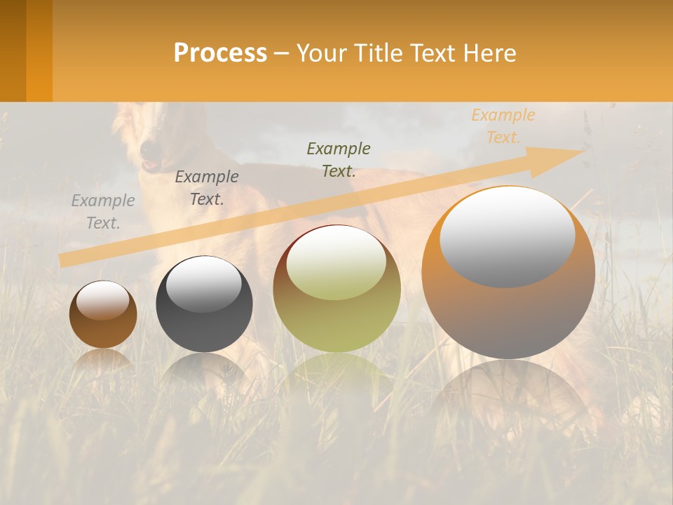 Russian Hunting Greyhound Dog PowerPoint Template