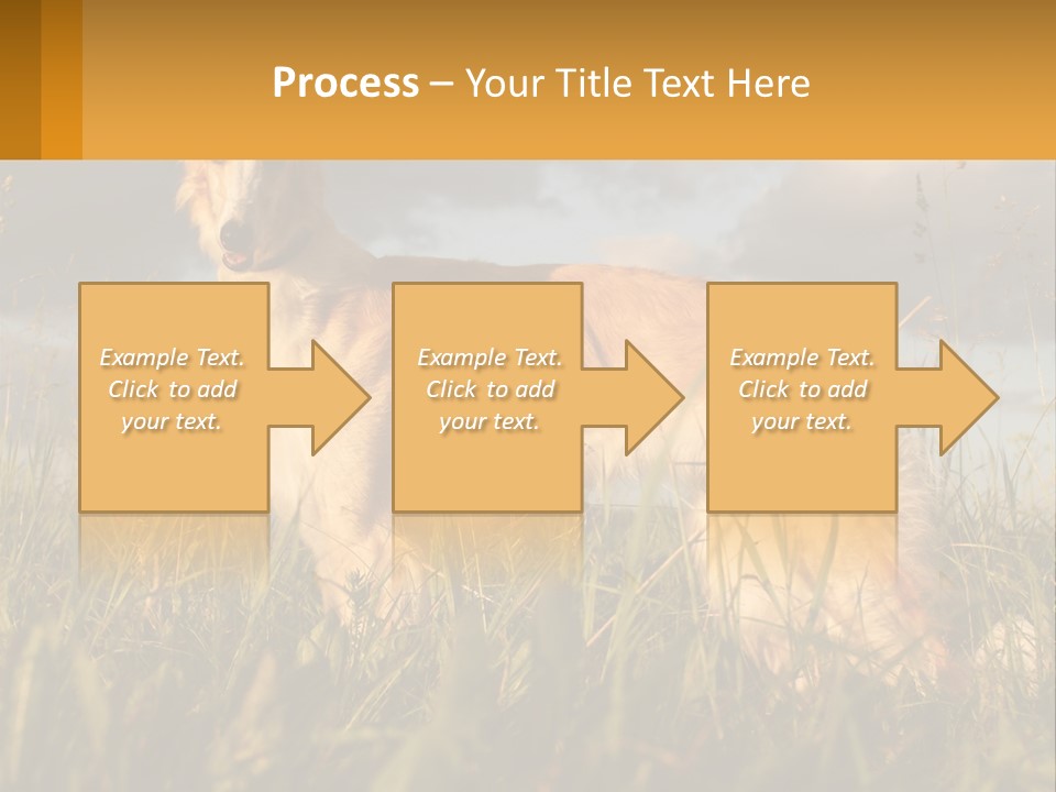 Russian Hunting Greyhound Dog PowerPoint Template