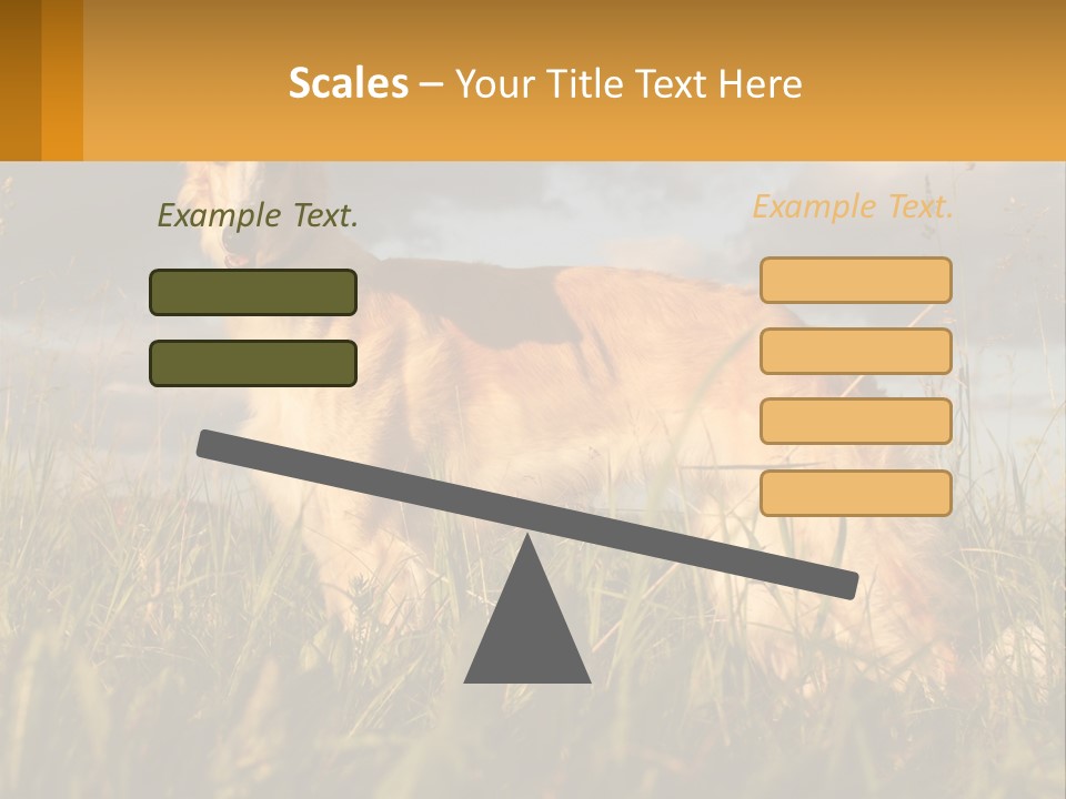 Russian Hunting Greyhound Dog PowerPoint Template