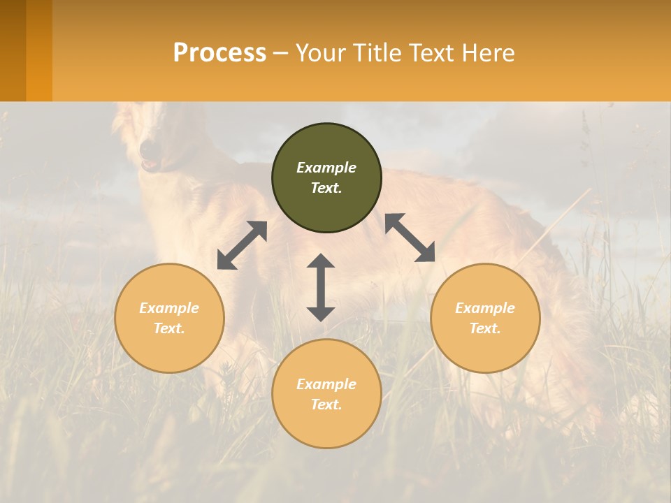 Russian Hunting Greyhound Dog PowerPoint Template