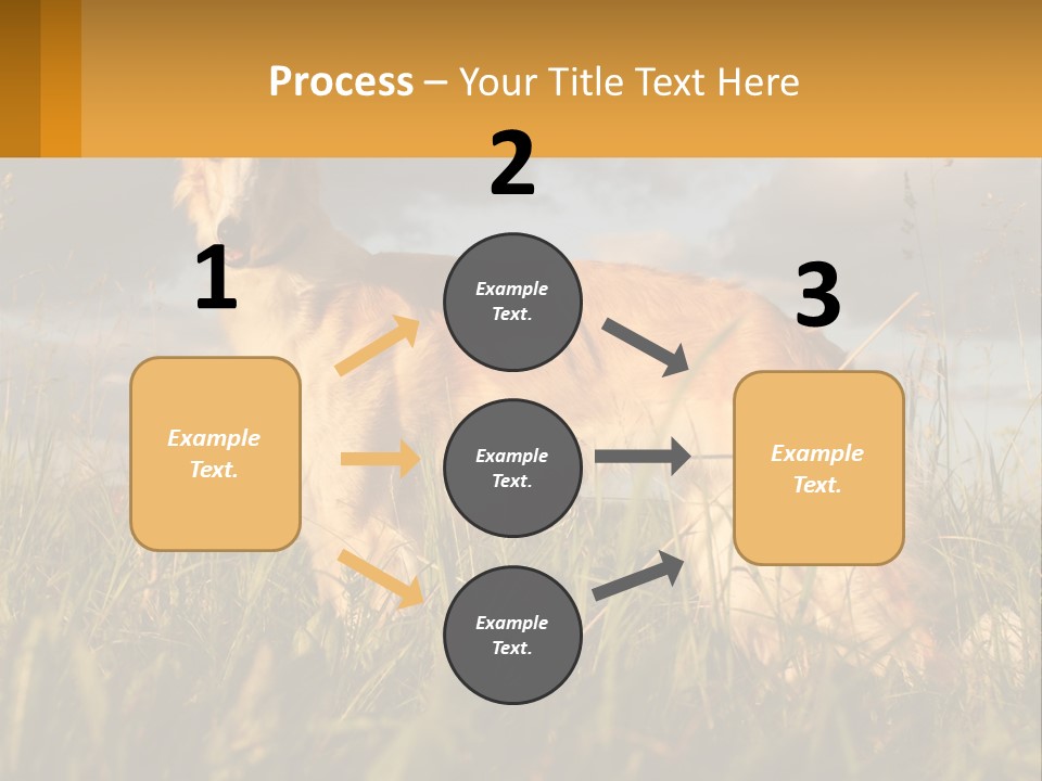 Russian Hunting Greyhound Dog PowerPoint Template