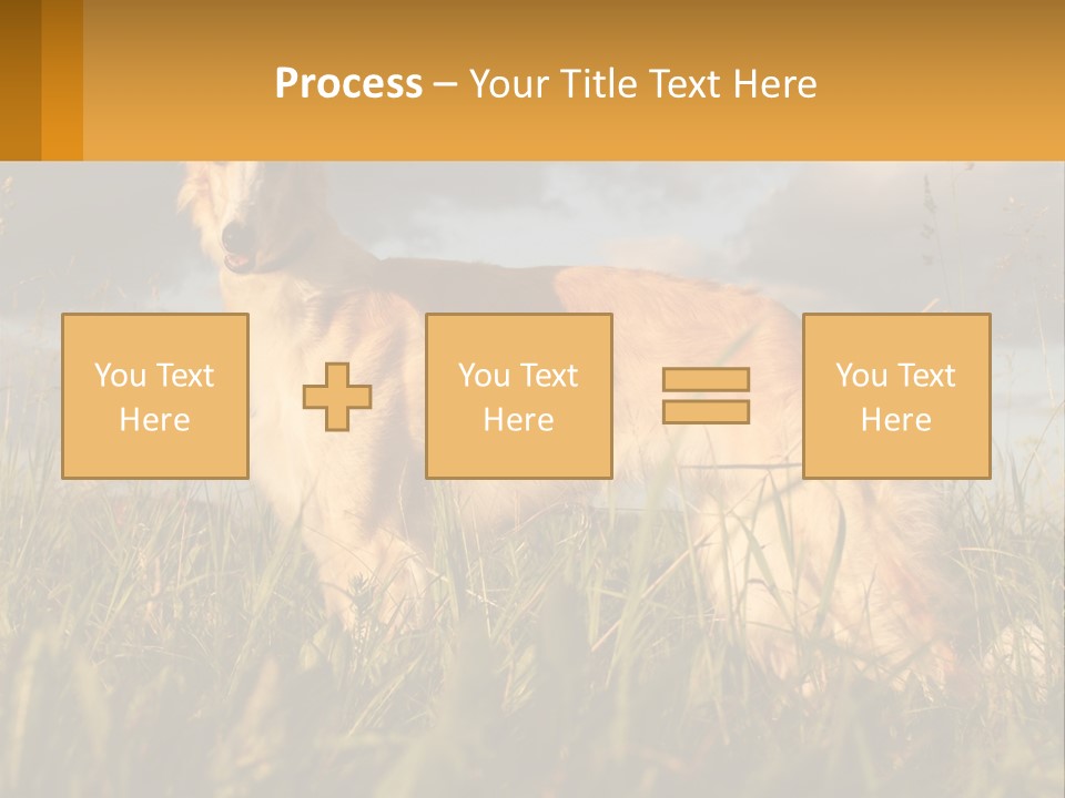 Russian Hunting Greyhound Dog PowerPoint Template