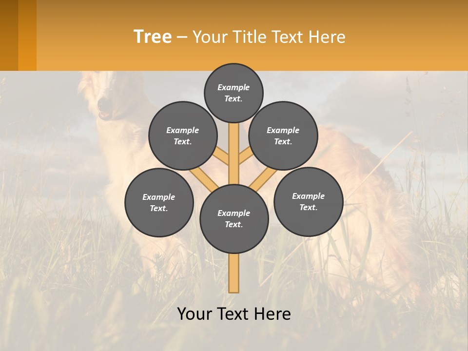 Russian Hunting Greyhound Dog PowerPoint Template