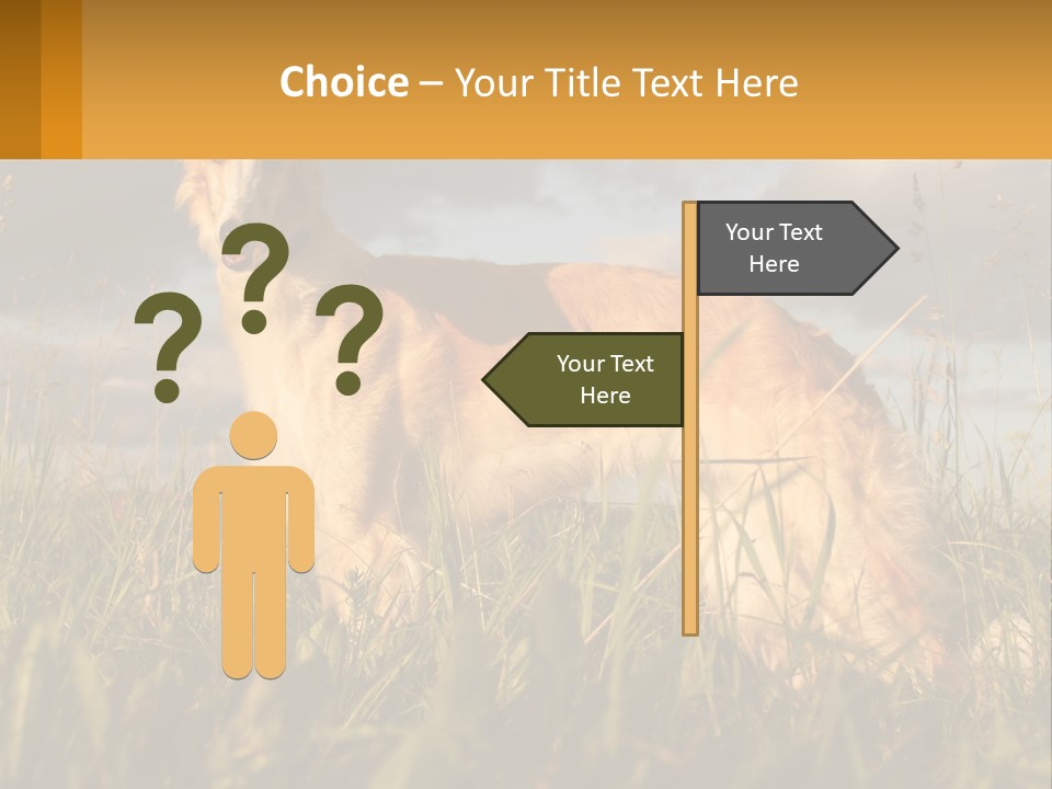 Russian Hunting Greyhound Dog PowerPoint Template