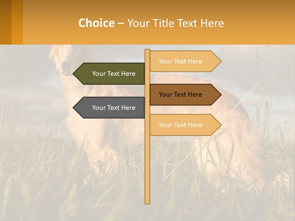 Russian Hunting Greyhound Dog PowerPoint Template