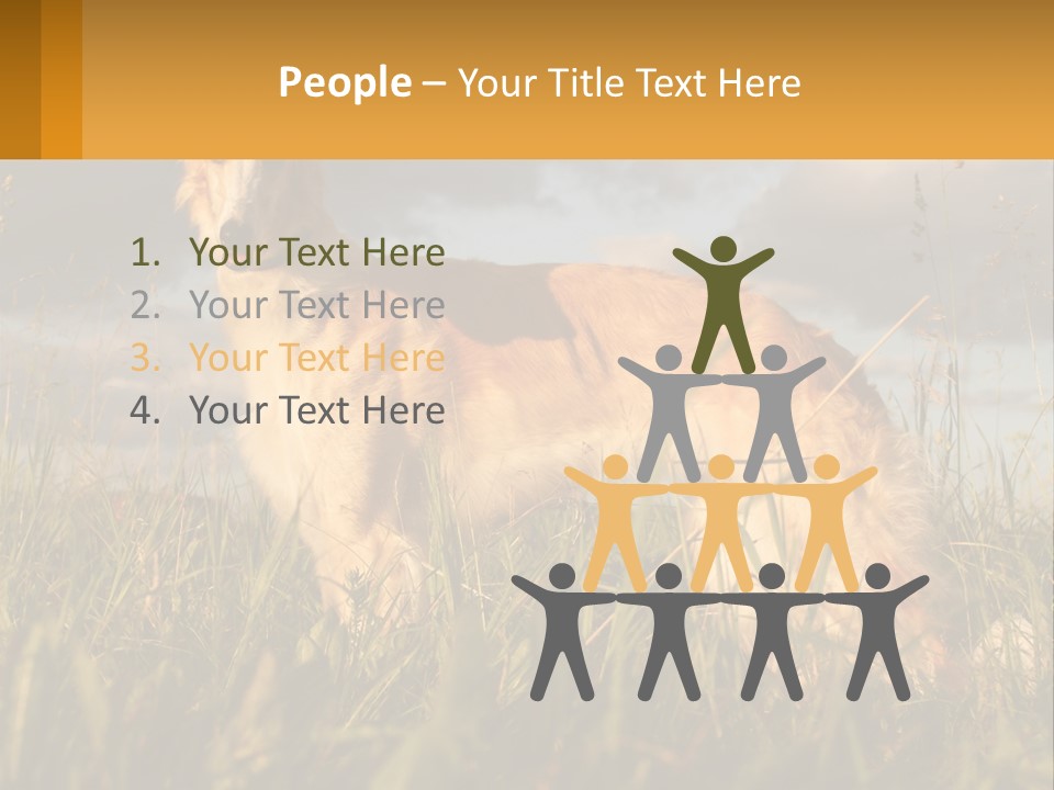 Russian Hunting Greyhound Dog PowerPoint Template