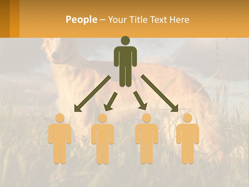 Russian Hunting Greyhound Dog PowerPoint Template