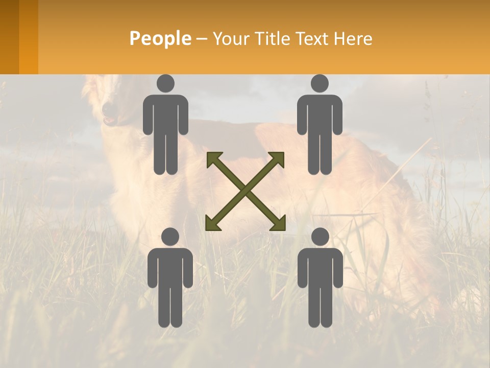 Russian Hunting Greyhound Dog PowerPoint Template