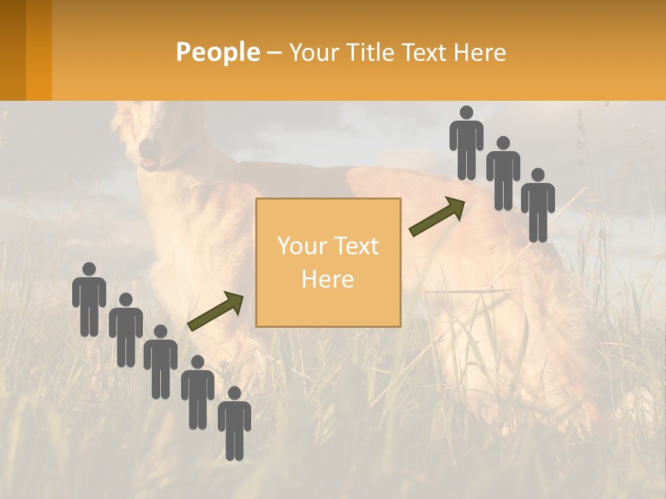 Russian Hunting Greyhound Dog PowerPoint Template