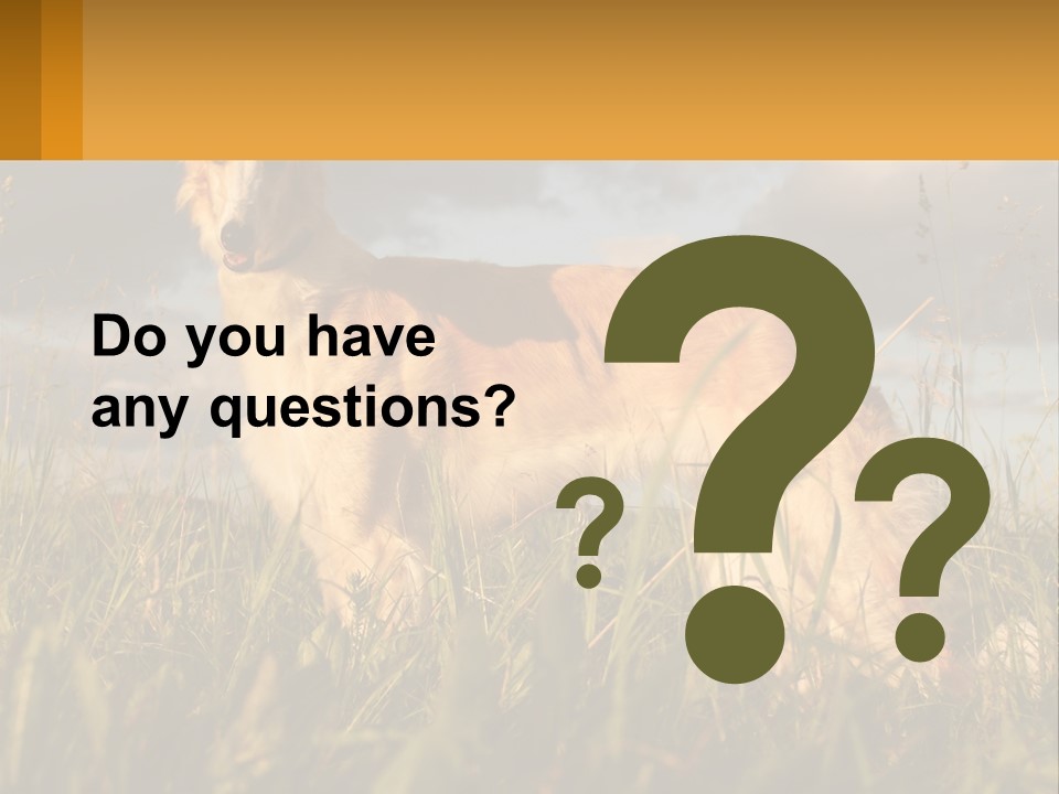 Russian Hunting Greyhound Dog PowerPoint Template