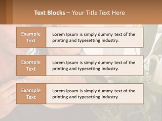 Man And Woman With Flowers PowerPoint Template