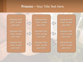 Man And Woman With Flowers PowerPoint Template