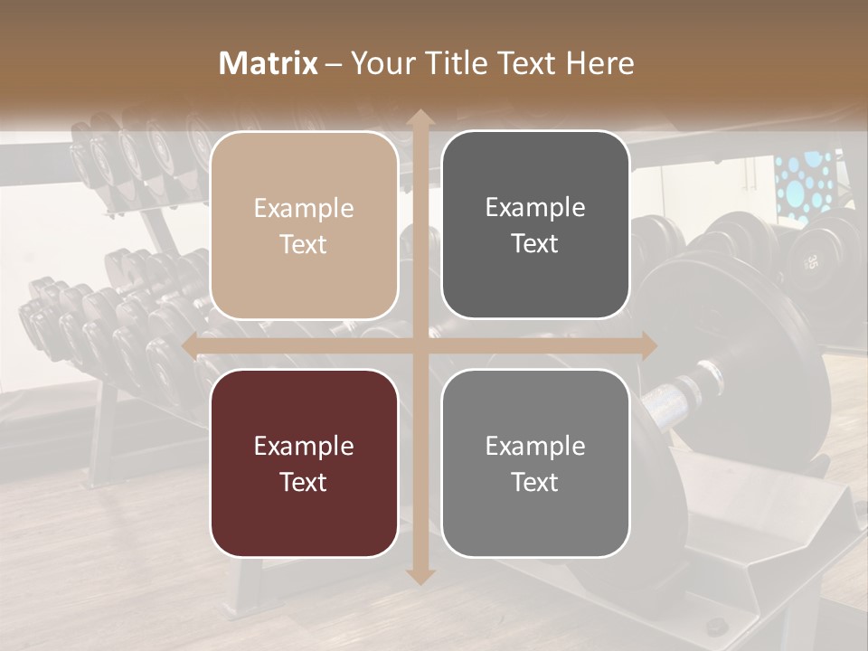 Dumbbells In The Gym PowerPoint Template