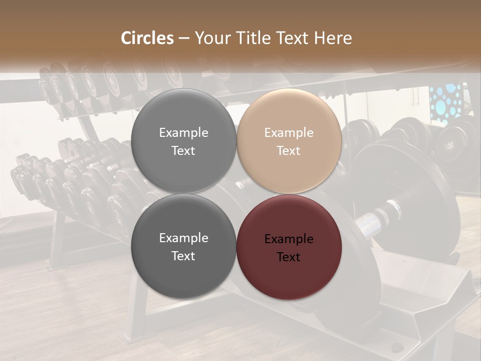Dumbbells In The Gym PowerPoint Template